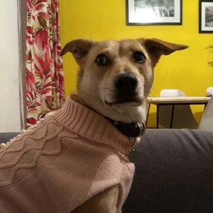 Meet your Posher, Vianny